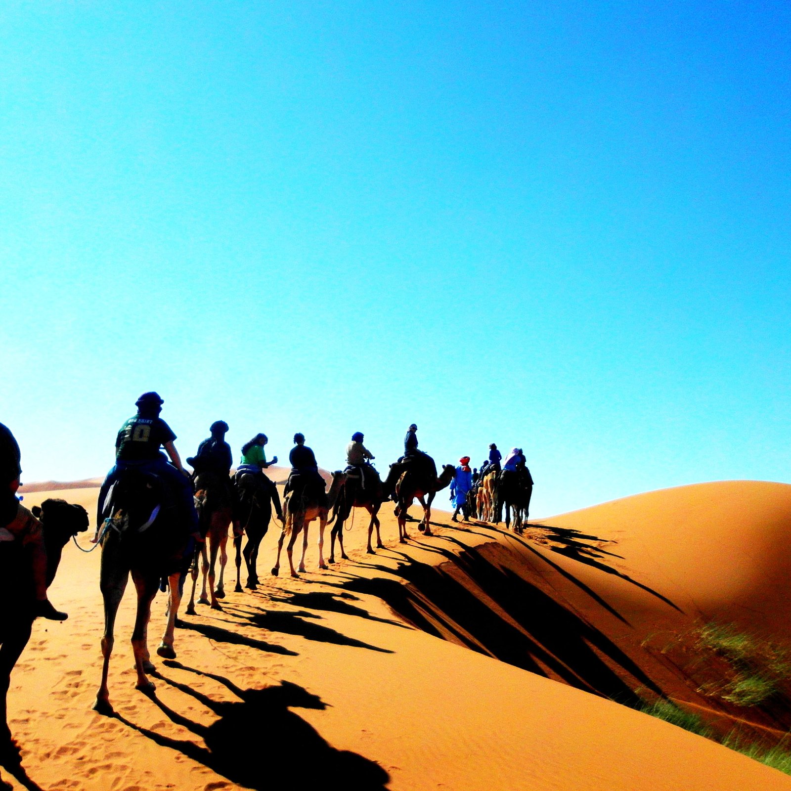 Day 2: Tinghir - Todgha Gorges – Merzouga