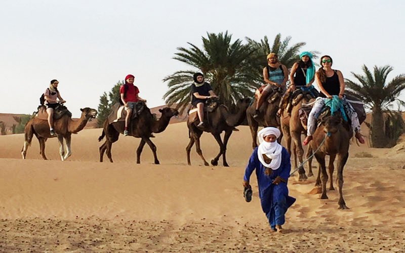 Day 2: Zagora - Marrakech